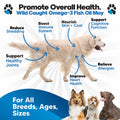 Omega 3 Fish Oil for Dogs – Liquid Dog Fish Oil Supplement – Supports Skin & Coat Health – Joint, Brain & Heart Support – for All Breeds & Ages 🍁 All In One Marketplace Canada