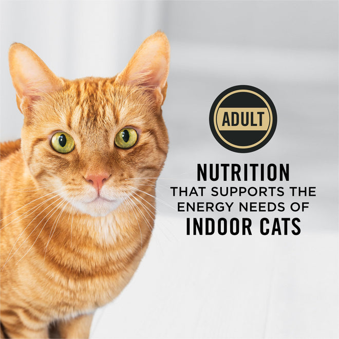 Purina Pro Plan Dry Cat Food, Specialized Indoor Hairball Turkey & Rice - 7.26 kg Bag (1 Pack) 🍁 All In One Marketplace Canada