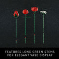 LEGO Botanicals Bouquet of Roses Artificial Flowers - Fake Red Roses Building Set for Adults, Ages 18+ - Gifts for Birthdays - Home Decor for Table Display - 10328 🍁 All In One Marketplace Canada