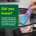 Organika Canadian-Made Electrolytes Powder with Vitamin C & Prebiotic Fibre - Sugar-Free Hydration Drink Mix - Wild Raspberry - 20 Single-Serve Sachets x 3.5g 🍁 All In One Marketplace Canada