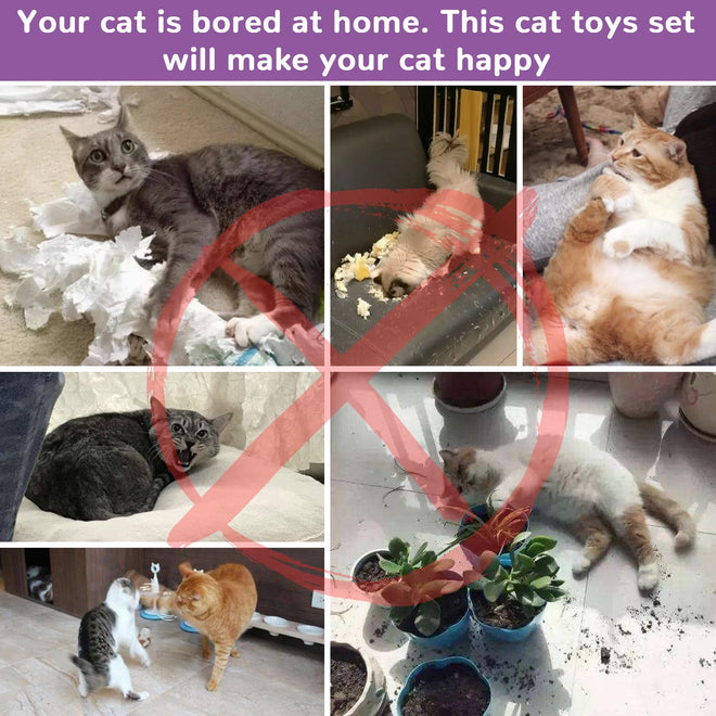 Retro Shaw Cat Toys Set 33 Pack, Cat Play Tunnel for Indoor Cats Kitty, Kitten Toys Include 2 Collapsible Cat Tunnels Tube Tent, Cat Feather Teaser Wand Springs Rainbow Bell Crinkle Ball Mouse Pompom 🍁 All In One Marketplace Canada