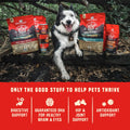 Stella & Chewy's Wild Red Dry Dog Food Raw Blend High Protein Grain & Legume Free Red Meat Recipe, 1.58kg Bag 🍁 All In One Marketplace Canada