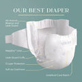 Pampers AMORE, Size 1, Our Best Diaper, 1 Pack (Count of 82) 🍁 All In One Marketplace Canada
