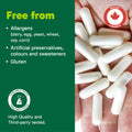 Organika MSM - Joint Support and Inflammation Relief Supplement | Supports Healthier Joints, Bones and Cartilage | Stronger Hair, Skin and Nails | Potent Antioxidant | 1,000mg of MSM - 180 vcaps 🍁 All In One Marketplace Canada