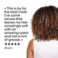 L'Oreal Professionnel Absolut Repair Resurfacing Mask, Premium Hair Care, Omega-9 Hydrating Treatment for Damaged Hair, 250 ML 🍁 All In One Marketplace Canada
