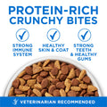 Purina ONE +Plus Dry Cat Food, High Protein with Salmon & Whitefish 3kg 🍁 All In One Marketplace Canada