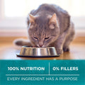 Purina ONE True Instinct Grain Free Dry Cat Food, High Protein Chicken - 6.53 kg Bag 🍁 All In One Marketplace Canada