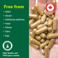 Organika Canadian-Made Ashwagandha- Stress Relief, Sleep Aid, Mood Enhancement, Thyroid and Blood Sugar Balance- 60 vcaps 🍁 All In One Marketplace Canada