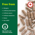 Organika Canadian-Made Korean Red Ginseng - 6 Year Old Roots, Energy Support, Stress Support, Warming Effect- 200caps 🍁 All In One Marketplace Canada