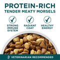 Purina ONE +Plus Large Breed Dry Puppy Food with Chicken - 14 kg Bag 🍁 All In One Marketplace Canada