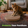 Best Pet Supplies Catify by Best Pet Supplies Spin and Scratch Replacement Pads (5 Pack) 🍁 All In One Marketplace Canada