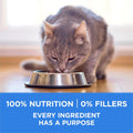 Purina ONE +Plus Dry Cat Food, Urinary Tract Formula Chicken - 3 kg Bag 🍁 All In One Marketplace Canada