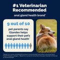 Glandex Anal Gland Soft Chew Treats with Pumpkin for Dogs Chews with Digestive Enzymes, Probiotics Fiber Supplement for Dogs – Vet Recommended - Boot The Scoot (Peanut Butter, 120ct Chews) 🍁 All In One Marketplace Canada