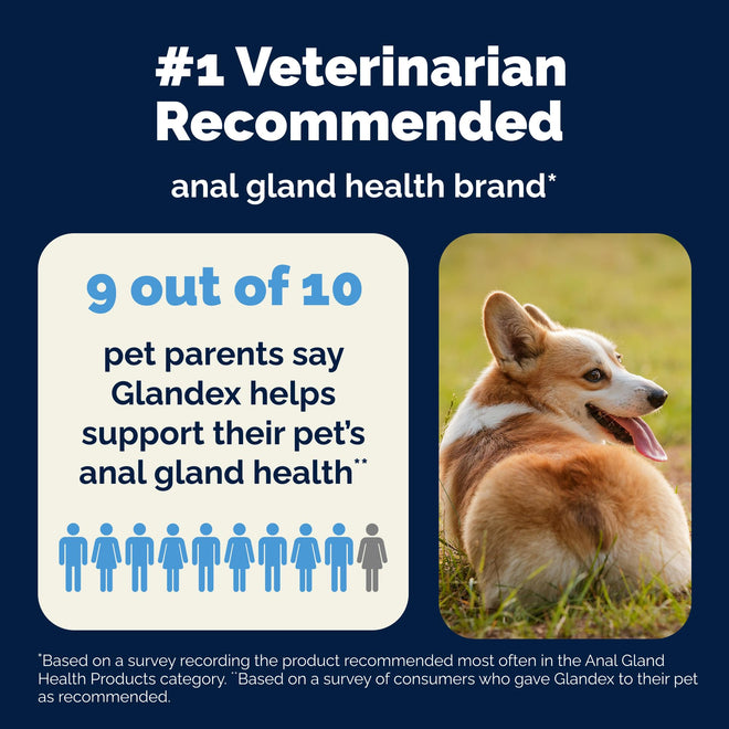 Vetnique Glandex Anal Gland Soft Chews for Dogs, Anal Gland Support, Boot The Scoot Fibre Supplement with Pumpkin, Unique Fiber Blend Probiotics & Digestive Enzymes (Peanut Butter, 60ct Chews) 🍁 All In One Marketplace Canada