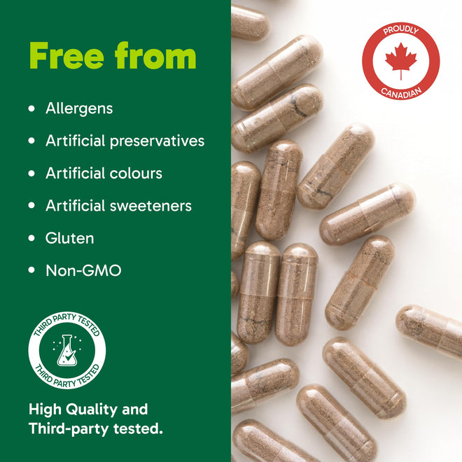 Organika Korean Red Ginseng- 6 Year Old Roots, Energy Support, Stress Support, Warming Effect- 100caps 🍁 All In One Marketplace Canada