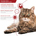 INABA Churu for Senior 10+, Creamy Lickable Cat Treats with Taurine, Vitamin E & C, 14 Grams Each, 60 Tubes, Tuna & Chicken Variety 🍁 All In One Marketplace Canada