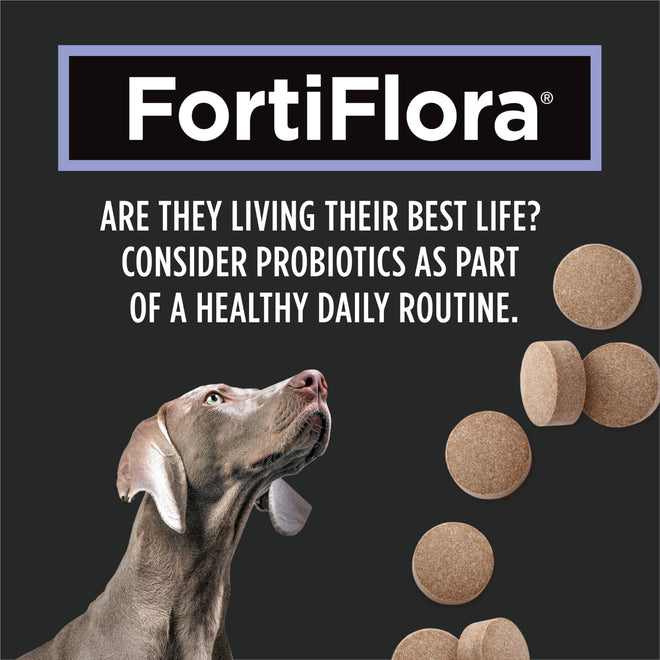 Purina Pro Plan Veterinary Supplements, Dog Probiotic Tablets - 158 g (90 Tablets) 🍁 All In One Marketplace Canada