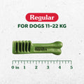 GREENIES Dog Treats Original Regular Natural Dental Care, (54 Treats) 54oz. Pack 🍁 All In One Marketplace Canada