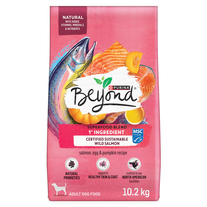 Beyond Superfood Blend Natural Dry Dog Food, Wild Caught Salmon, Egg & Pumpkin - 10.2 kg Bag 🍁 All In One Marketplace Canada