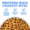 Purina ONE +Plus Dry Cat Food, Urinary Tract Formula Chicken - 3 kg Bag 🍁 All In One Marketplace Canada
