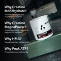 atplab Myoprime Creatine Monohydrate Powder, Creatine, Organic Grape, 210 g 🍁 All In One Marketplace Canada