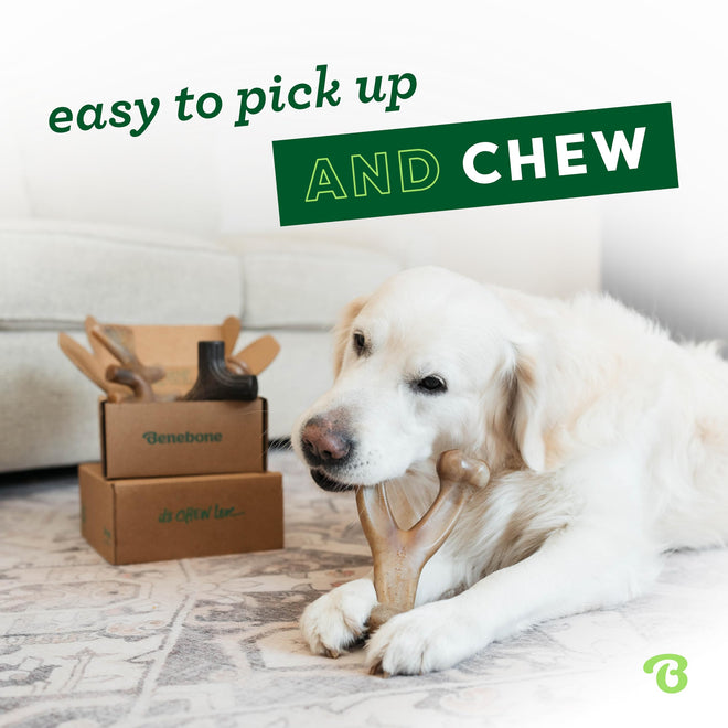 Benebone Small 4-Pack Dog Toys for Aggressive Chewers – Under 30 lbs 🍁 All In One Marketplace Canada