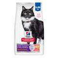 Hill's Science Diet Sensitive Stomach & Skin, Adult 1-6, Stomach & Skin Sensitivity Support, Dry Cat Food, Grain Free Salmon & Yellow Peas, 13 lb Bag 🍁 All In One Marketplace Canada
