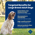 Blue Buffalo Life Protection Formula Large Breed Adult Dry Dog Food, Promotes Joint Health and Lean Muscles, Made with Natural Ingredients, Chicken & Brown Rice Recipe,11.7kg/26 lbs 🍁 All In One Marketplace Canada