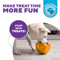 Outward Hound Snoop Dog Toy – Treat‑Dispenser Puzzle Ball, Interactive Slow Feeder, Medium to Large Dogs, Bouncy & Mint-Infused, Orange, 5" 🍁 All In One Marketplace Canada