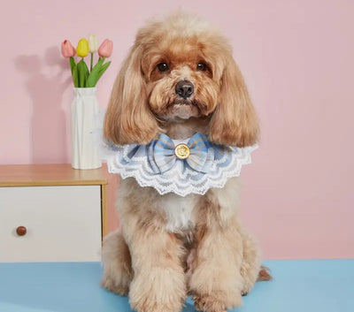 Image without description.