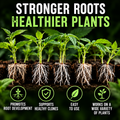 Root Rush Rooting & Cloning Powder