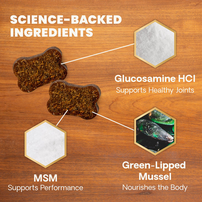VETRISCIENCE Glycoflex Clinically Proven Hip and Joint Supplement with Glucosamine for Dogs, Chicken, 60 Chews - Vet Recommended Mobility Support Supplement with DMG, MSM, and Perna 🍁 All In One Marketplace Canada
