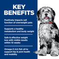 Hill's Science Diet Adult Perfect Weight & Joint Support Chicken Recipe Dry Dog Food 11.34 kg Bag 🍁 All In One Marketplace Canada