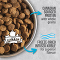 Nutrience Infusion Healthy Adult Dog Food, 10 kg (22 lb), Fresh Canadian Ocean Fish, Dry Dog Food, Nourriture Pour Chien, Manger Pour Chien 🍁 All In One Marketplace Canada
