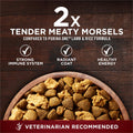 Purina ONE True Instinct Dry Dog Food, Salmon & Tuna 12.4kg 🍁 All In One Marketplace Canada