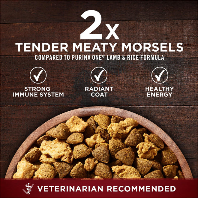 Purina ONE True Instinct High Protein Dry Dog Food, Turkey & Venison - 12.4 kg Bag (1 Pack) 🍁 All In One Marketplace Canada