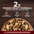 Purina ONE True Instinct Dry Dog Food, Chicken & Duck 6kg 🍁 All In One Marketplace Canada