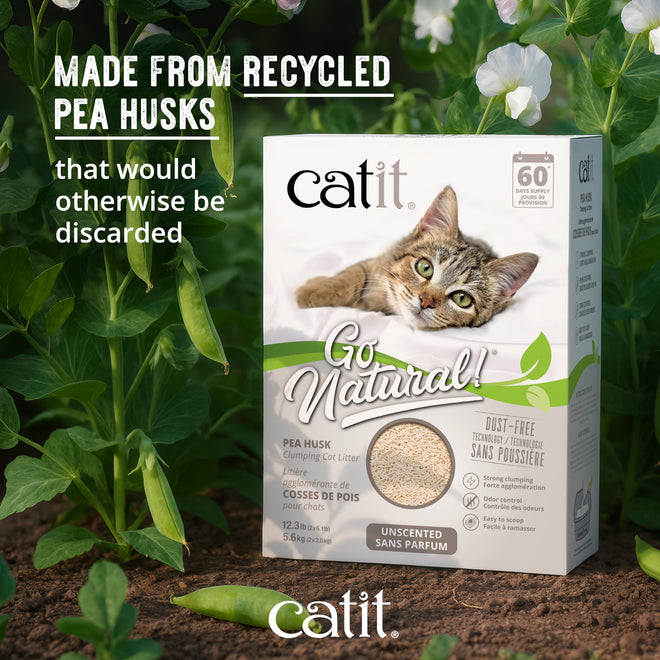 Catit Go Natural Pea Husk Clumping Cat Litter, Unscented, 5.6 kg, Dust Free & Lightweight Cat Litter, Easy to Scoop, Litiere Pour Chat 🍁 All In One Marketplace Canada