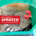 Nest Box Pads for Chicken Nesting Boxes - 13 x 13 Pads Made in USA from Sustainably Sourced Aspen Excelsior (5 Pack) 🍁 All In One Marketplace Canada