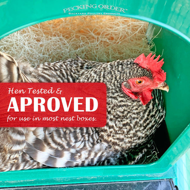 Nest Box Pads for Chicken Nesting Boxes - 13 x 13 Pads Made in USA from Sustainably Sourced Aspen Excelsior (5 Pack) 🍁 All In One Marketplace Canada