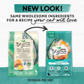 Beyond Grain Free Natural Dry Cat Food, Wild-Caught Whitefish & Free Run Egg - 2.26 kg Bag 🍁 All In One Marketplace Canada
