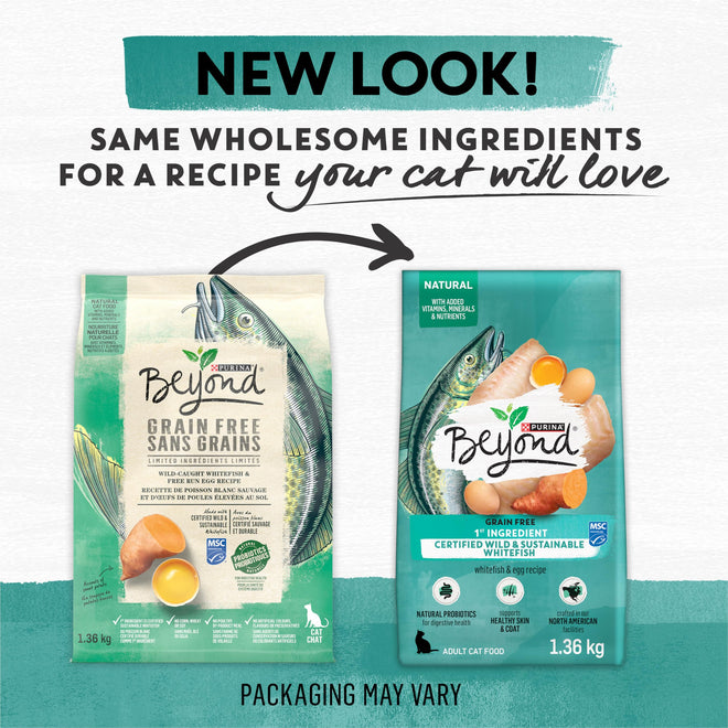 Beyond Grain Free Natural Dry Cat Food, Wild-Caught Whitefish & Free Run Egg - 2.26 kg Bag 🍁 All In One Marketplace Canada