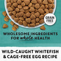 Beyond Grain Free Natural Dry Cat Food, Wild-Caught Whitefish & Free Run Egg - 2.26 kg Bag 🍁 All In One Marketplace Canada