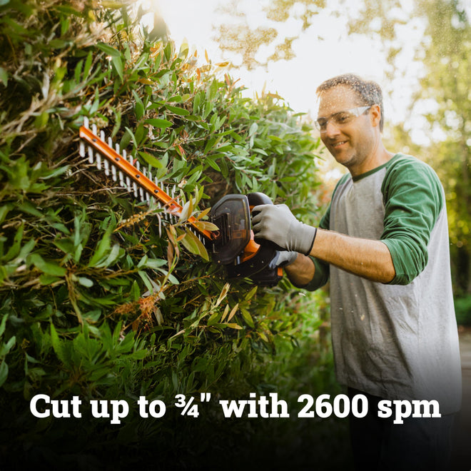 WORX WG261.9 20V PowerShare 22" Cordless Hedge Trimmer, Battery & Charger Not Included 🍁 All In One Marketplace Canada