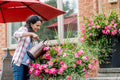 Miracle-Gro Water Soluble All Purpose Plant Food, 3kg | Instant Feeder for Flowers, Veggies, Trees & Shrubs | Easy Mix & Apply 🍁 All In One Marketplace Canada