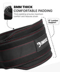 DMoose Dip Belt for Weightlifting, Weight Belt with Chain for Pullup, Gym Lifting Belt for Powerlifting, Squat, Bodybuilding, Heavy Duty Steel, Workout Belt with Comfortable Neoprene Support 🍁 All In One Marketplace Canada