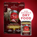 Purina ONE True Instinct Wet Dog Food, Ground Turkey & Venison (12 Pack) 🍁 All In One Marketplace Canada