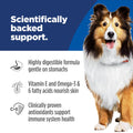 Hill's Science Diet Sensitive Stomach & Skin, Adult 1-6, Stomach Sensitivity Support, Wet Dog Food, Turkey & Rice Stew, 12.5 oz Can, Case of 12 🍁 All In One Marketplace Canada