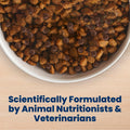 Blue Buffalo Life Protection Formula Chicken & Brown Rice Senior Dry Dog Food, Supports Immunity with Antioxidant-Rich LifeSource Bits, Promotes Healthy Muscle Development, Skin & Coat, 11.7kg/26lbs 🍁 All In One Marketplace Canada
