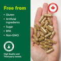 Organika Canadian-Made Maca 4:1 Strength 180 Vcaps - 3000mg | High Bioavialability Formula, Adaptogen to Help with Stress, Energy and Hormone Balance 🍁 All In One Marketplace Canada